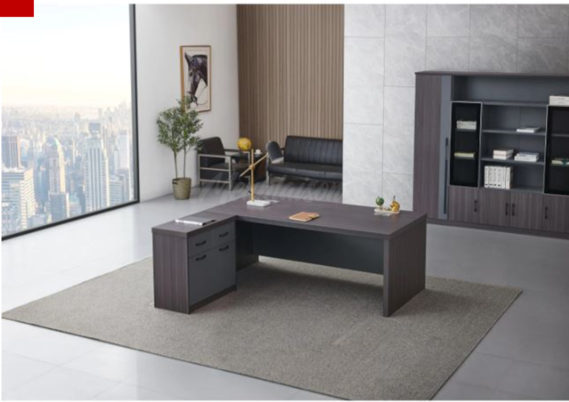 STATION DE TRAVAIL 2